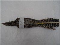 噪鵑藏品圖，第2張